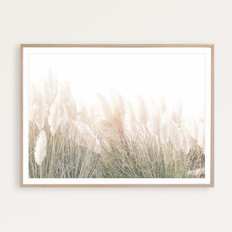 Wall art - Pampas Grass - Canvas Prints - Poster Prints - Art Prints ...