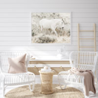 Wall Art - White Horse - Canvas Prints-Poster Prints - Image 3
