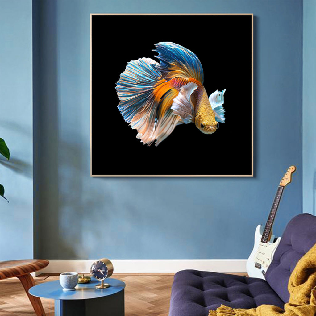 Wall Art - Betta Fish - Canvas Prints-Poster Prints - Art Prints ...