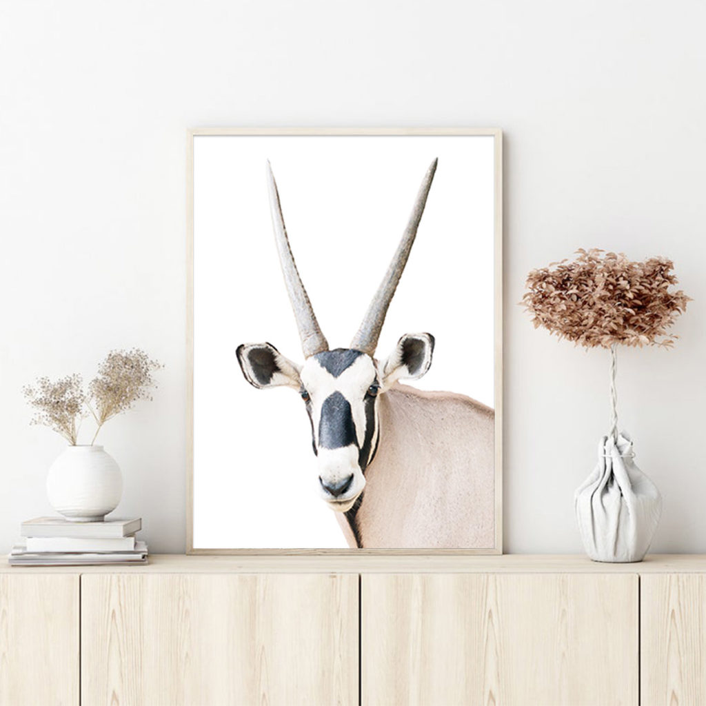 Wall Art - Oryx - Canvas Prints-Poster Prints - Art Prints Melbourne ...